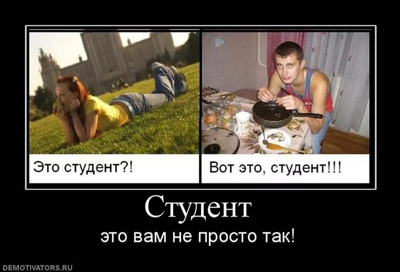 Каких студентов любят. Приколы про студентов. прикольные шутки про студентов. студенческая жизнь приколы. смешные картинки про студентов.