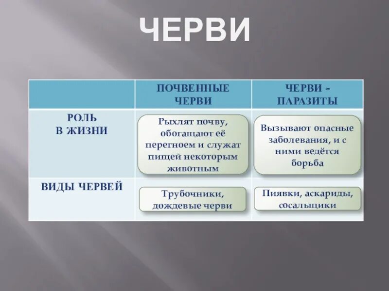 Группа черви признаки группы. Признаки группы червей. Общие признаки червей. Черви особенности группы. Черви характерные признаки.