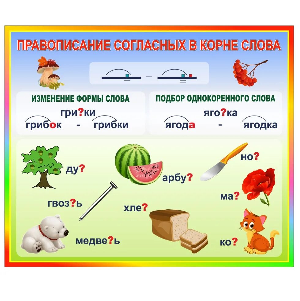 Гласные согласные в корне правило. Правописание согласных в корне. Правописание согласных в корне слова. Правописание согласных вклрне. Правописанме согласныхв корнне.