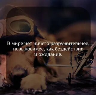 Ожидание ничего