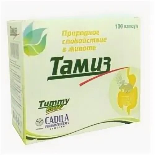 Тамиз