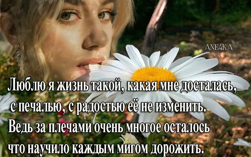 Приму жизнь какой она есть. Люблю я жизнь такой какая мне досталась. люблю я жизнь такой какая мне досталась с печалью. стих люблю я жизнь такой какая мне досталась. фото люблю я жизнь такой какая мне досталась.