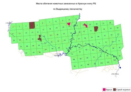 Озерское лесничество
