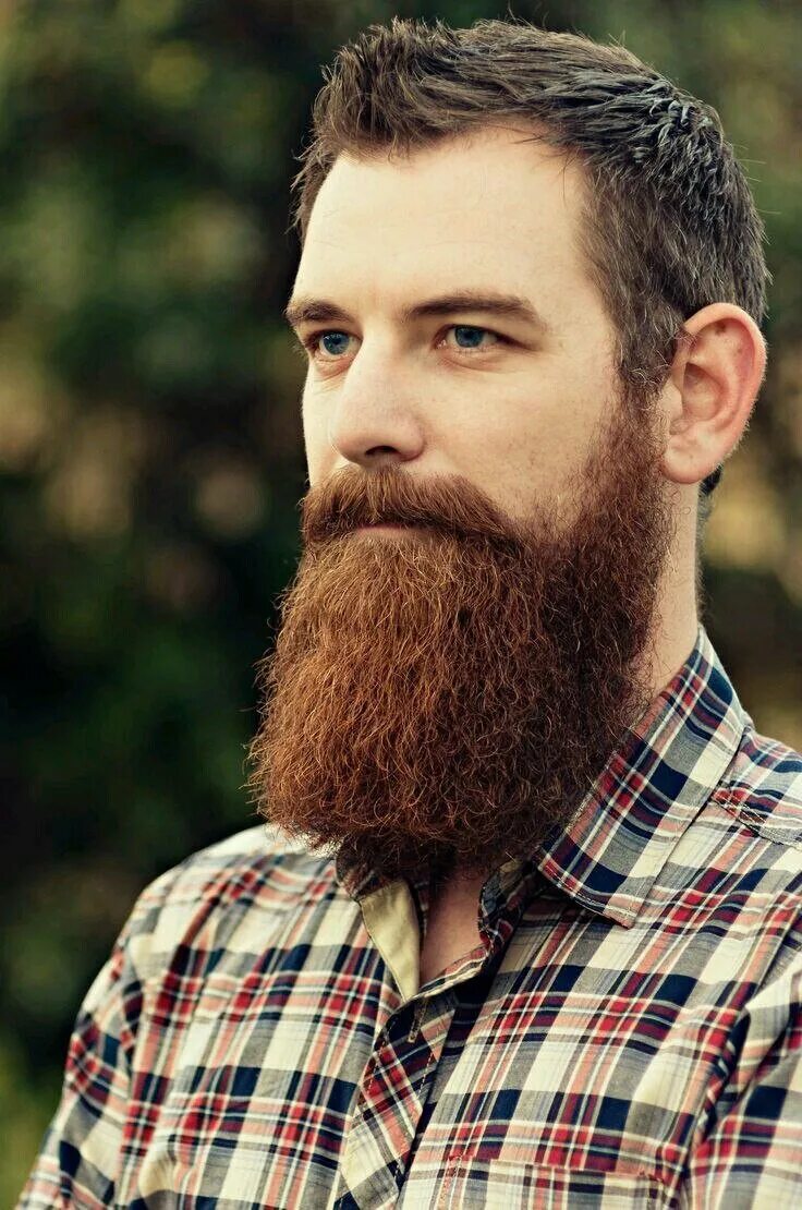 Длинная бородка. Борода Гарибальди. Мужчина с бородой. Бородатый мужик.