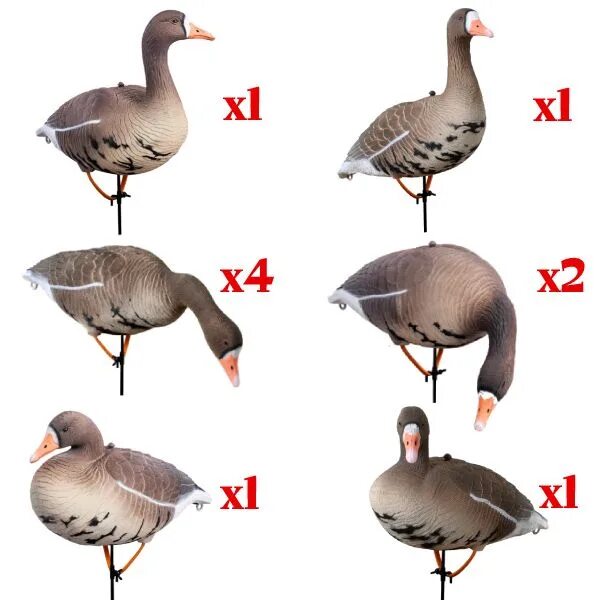 Чучело гуся-гуменника airborn. Аквазон. Ру гуси чучела гусей. Аквазон чучела гусей для охоты. Чучела серого гуся 3d north way.
