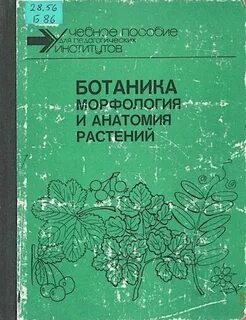 Барабанов ботаника