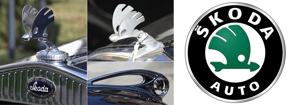 Что изображено на логотипе шкода. Skoda logo evolution. старый значок шкоды. шкода эмблема старая. skoda старый логотип.