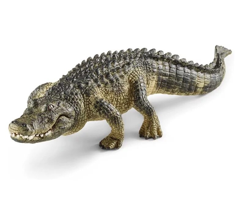 Дикие животные купить. Шляйх Аллигатор. Фигурка Schleich крокодил 14736. Schleich крокодил 14727. Schleich Диногоргон 15002.