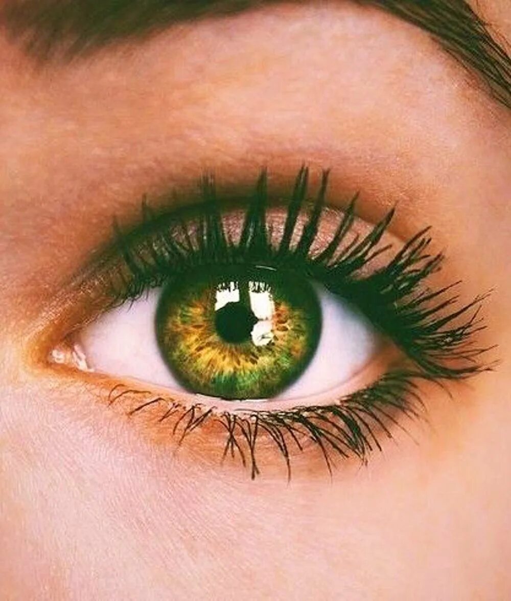 Зелёные глаза. Красивые зеленые глаза. Красивый цвет глаз. Зелёные глаза Эстетика. Красивые фото зеленых глаз