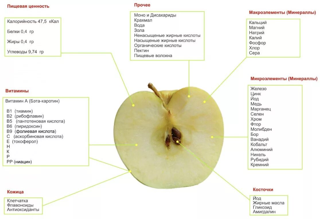 Что содержится в кожуре. Яблоко питательные вещества в 100г. Пищевая ценность яблок схема. Яблоко пищевая ценность в 100г. Из чего состоит яблоко.
