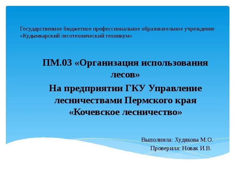 Государственное казенное учреждение пермского края. ГКУ «управление лесничествами Пермского края». Система управления лесным хозяйством Пермского края.