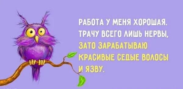 Потратили всего 1 день. Прикольные пожелания хорошей работы. Статусы про нервы. Открытки про работу с юмором. Смешные фразы про нервы.