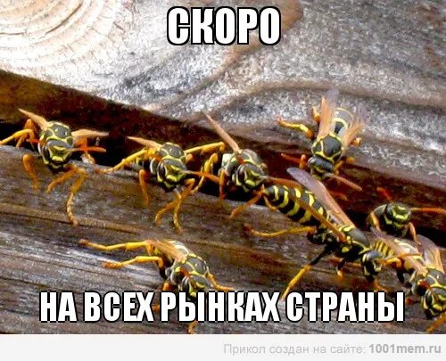 Осы я буду твоим