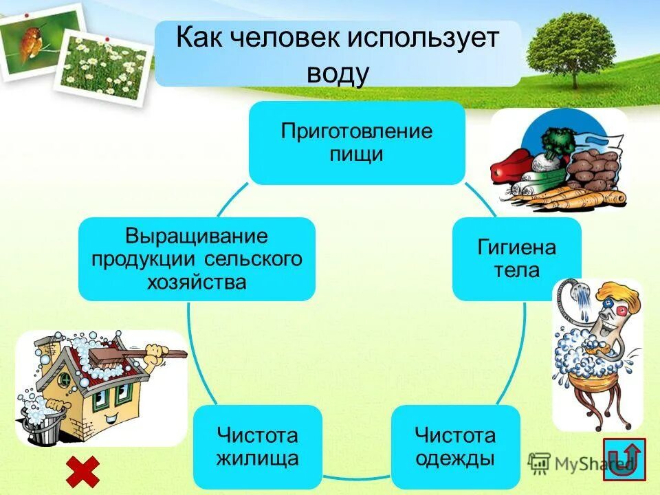 Использование нефти человеком. Где используют компьютеры. Где человек использует воду. Как используется вода человеком. Человек использует воду.
