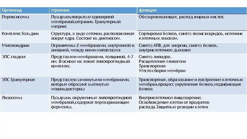 Передача структур функциям. Пероксисома органоид функция. Пероксисомы строение и функции в животной клетке. Пероксисомы строение и функции. Пероксисомы особенности строения.