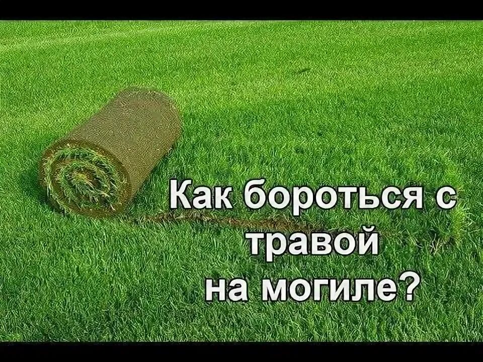 Лучшее средство от травы на кладбище навсегда. Искусственный газон на могилу. рулонный газон на могилу. убирали травы в кладбище. искусственный газон на могилу фото.