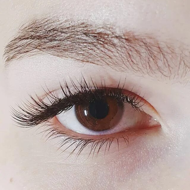 Ресницы эффект теней. Наращивание ресниц лисий эффект 2д изгиб d. Наращивание ресниц новороссийск. Наращивание ресниц новороссийск. Наращивание ресниц новороссийск.