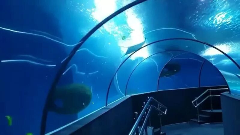 Океанариум сургут. Океанариум акватика когалым. Галактика ханты-мансийск океанариум. Когалым аквариум галактика. Океанариум сургут.