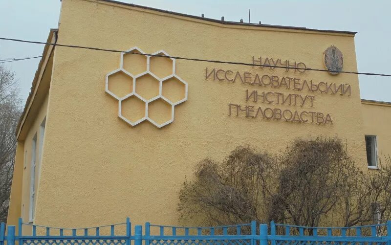 Институт пчеловодства рыбное. Рязанский институт пчеловодства. музей пчеловодства рыбное.