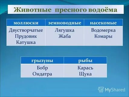 Байкал это искусственный естественный или пресный водоем