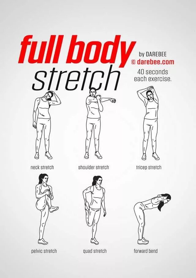 Упражнения Full body. Stretch body тренировка. Стретчинг воркаут. Full body тренировка что это рисунок.