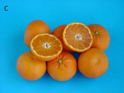 Гибрид апельсина и грейпфрута