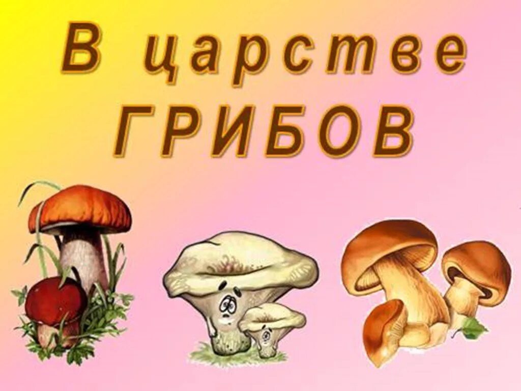 Царство грибы сьедобюные и не сьедоные. Грибы: съедобные и несъедобные. Царство грибов. Съедобные грибы. Есть царство грибов