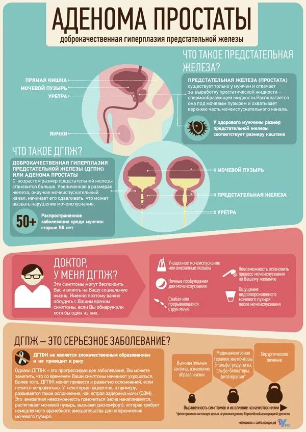 Инфекция простаты. Доброкачественная гиперплазия предстательной железы памятка. Аденома простаты симптомы. Профилактика гиперплазии предстательной железы. Профилактика аденомы простаты.