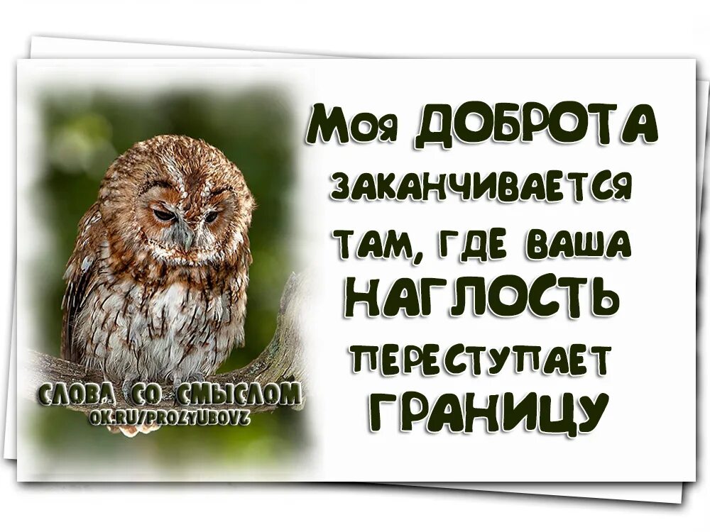 Сделаешь добро получишь. Делать добро цитаты. доброта моя доброта. моя доброта заканчивается. статусы про доброту и наглость.