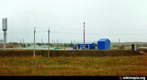 С таловка алтайский край