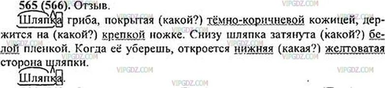 Ладыженская 6 565. Русский язык 5 класс ладыженская упражнение 565. Русский язык 5 класс 2 часть упражнение 565. Русский язык 5 класс 2 часть страница 81 упражнение 565.