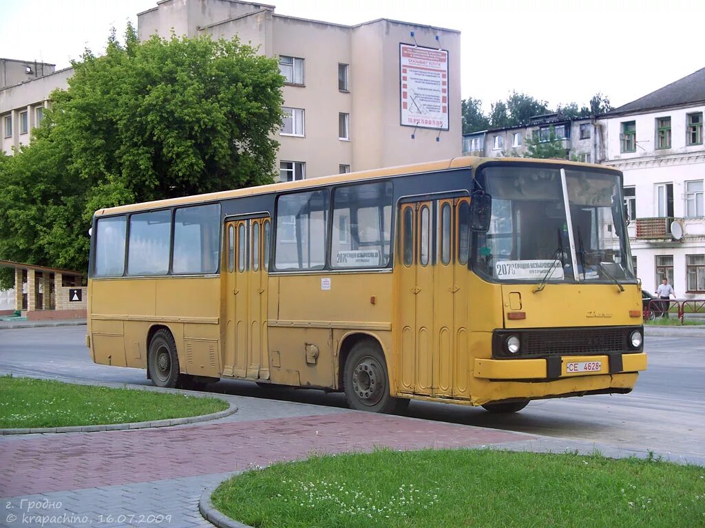 Автовокзал гродно телефон. Гродно автобусная станция. Икарус 260-43 Курск фото. Автовокзал Гродно история.