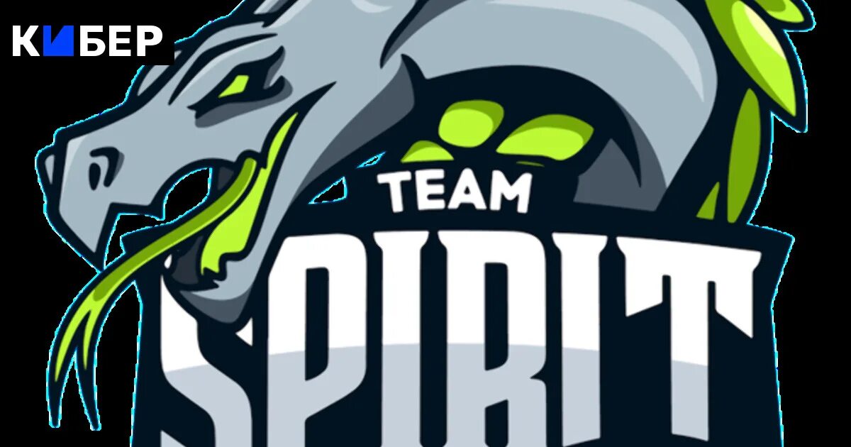 Team spirit elevate. Тим спирит. Тим спирит ава. Team Spirit Dota 2. Команда тим спирит дота.