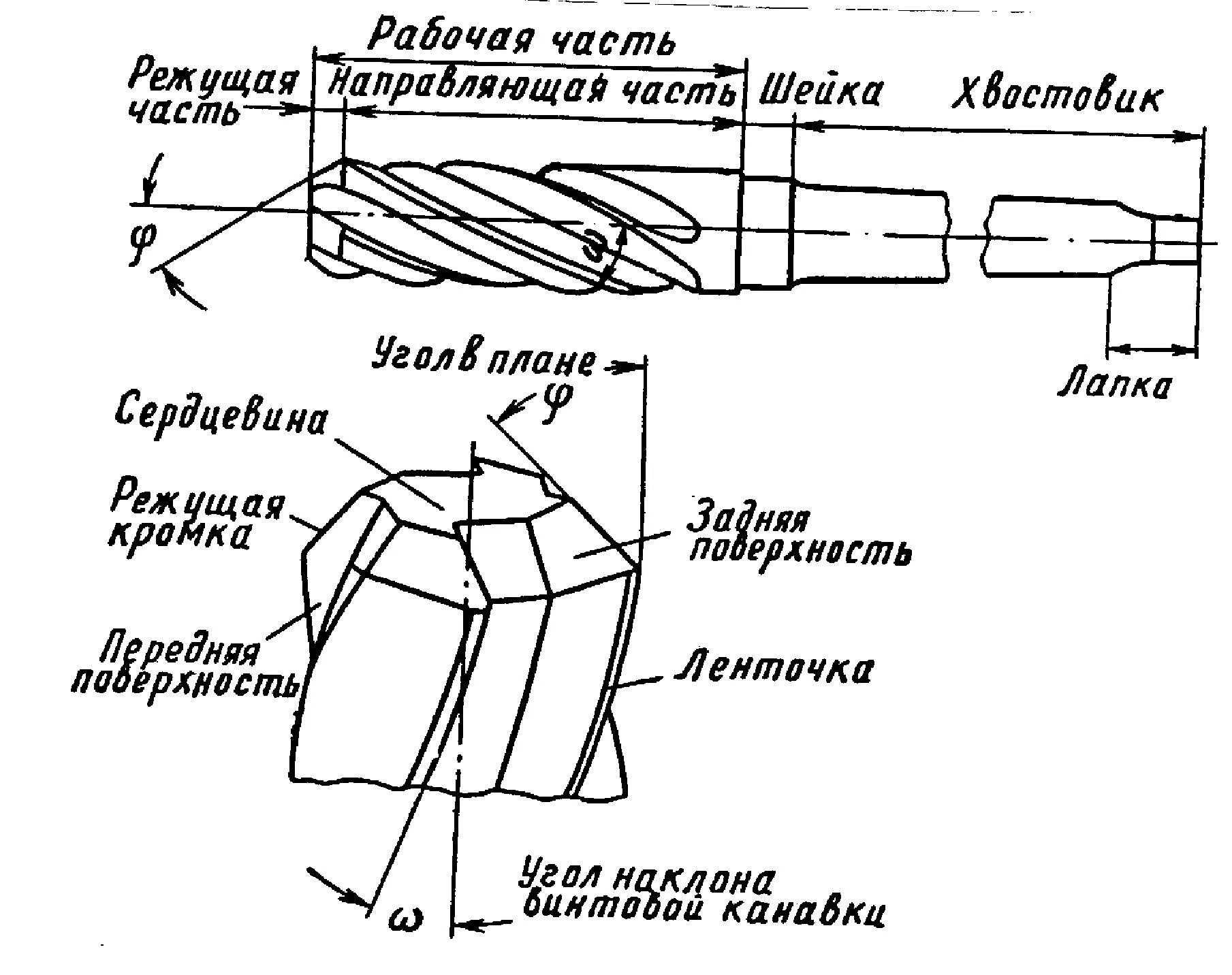 Разверток резцов