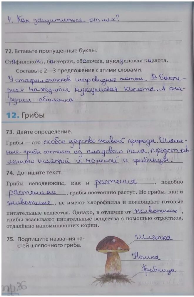 Страница 40-41 ГДЗ рабочая тетрадь по биологии 5 класс Сонин