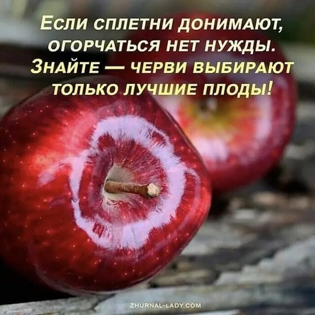 знайте черви выбирают только лучшие плоды. собирайте ягоды а не сплетни. если сплетни донимают. если сплетни донимают огорчаться нет нужды картинка. анекдот про сплетников.