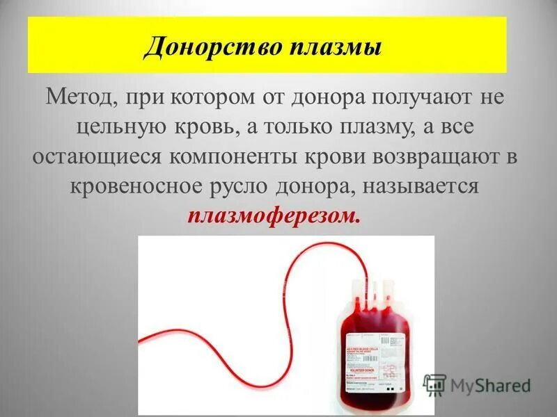 Назовите донора для шарика