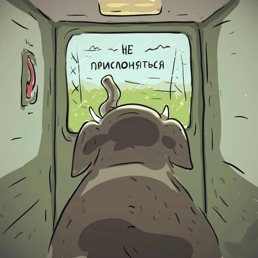 Хлеб мем. Прямом каком смысле. Прямом каком смысле. Прямом каком смысле. Прямом каком смысле.