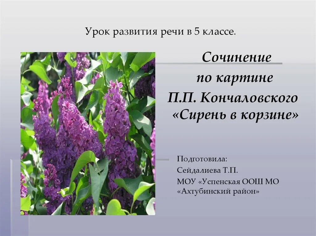 Кончаловский сирень 5 класс. Сочинение по картине сирень в корзине. Сирень в корзине 5 класс. Сочинение по картине Кончаловского сирень в корзине. Сирень в корзине описание сирени