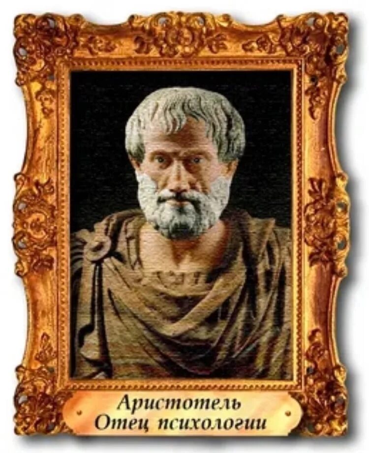 Аристотель портрет. Портрет философа Аристотеля. Аристотель древнегреческий философ. Фотография Аристотеля философа.