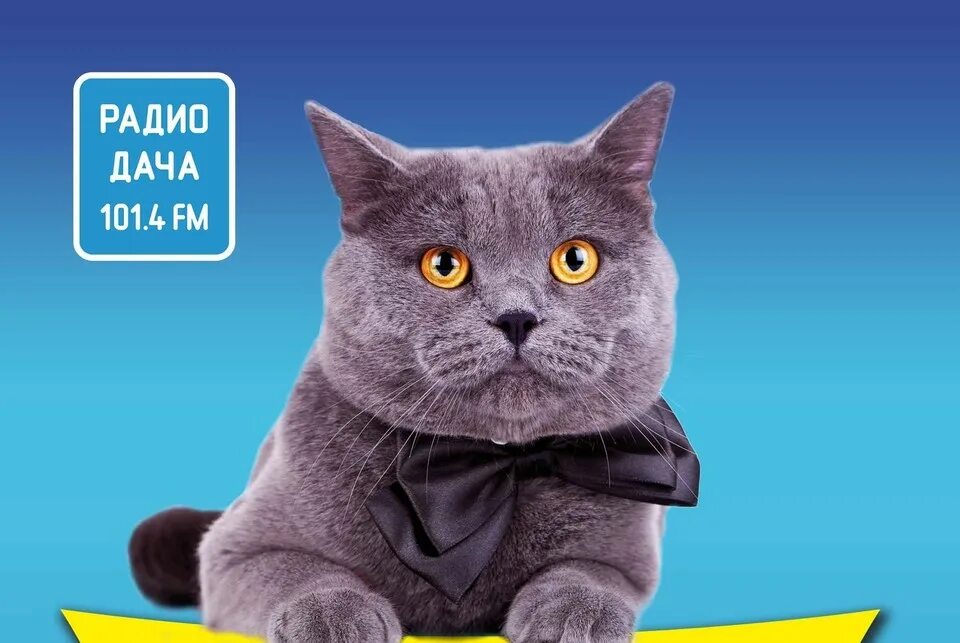 Радиостанция радио дача. Радио дача новосибирск 106. Радио дачи какая радиостанция. Радио дача блоггер. Радио дача читать гороскоп.