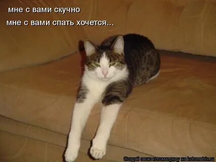 От скуки решил