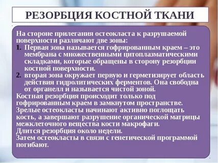 Резорбция костной ткани это