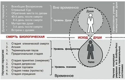 Принятие отторжение