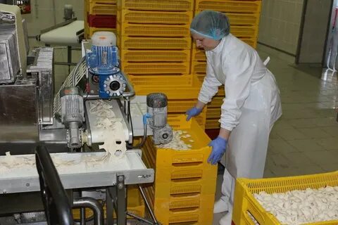 Работа новогрудок вакансии