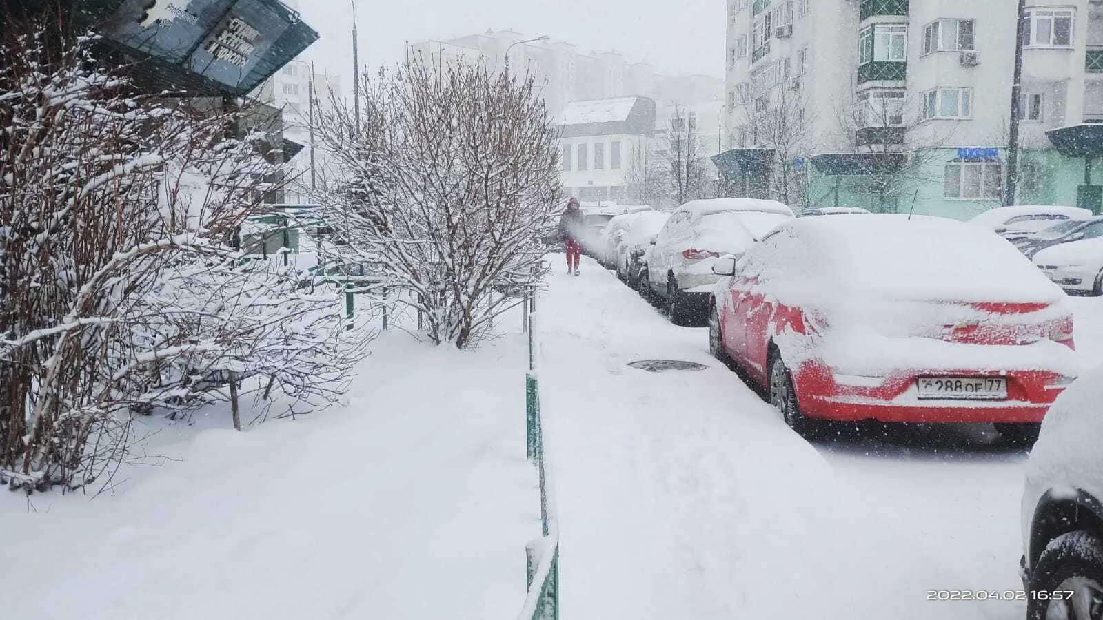 В апреле выпадет снег. Снегопад в Москве. Снег в апреле. Снег в апреле в Москве. Снежный ураган.