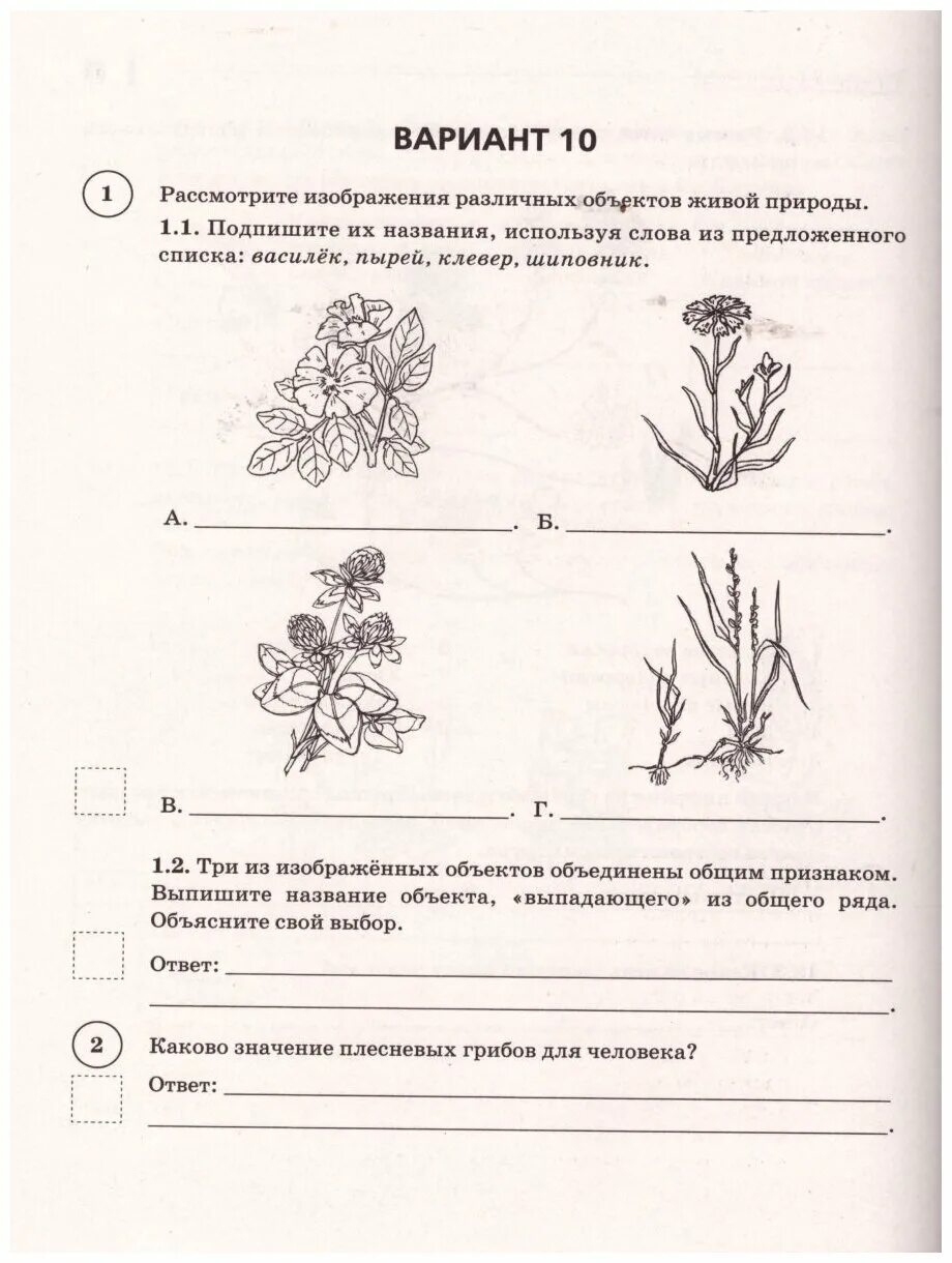 Впр по биологии 7 класс 2022 год. ВПР по биологии 7 Клаас. 5 Класс биология ВПР 10 вариантов 5 класс. ВПР 7 кл биология. Вепыэр по биологии.