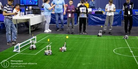 Чемпионат по спортивному программированию 2024