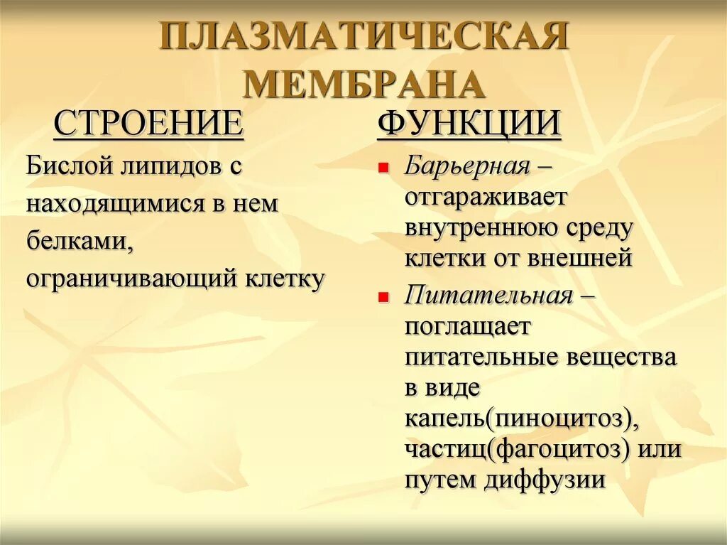 Таблица цитоплазма плазматическая мембрана. Плазматическая мембрана строение и функции 9 класс. Плазматическая мембрана функции органоида. Особенности строения плазматической мембраны.