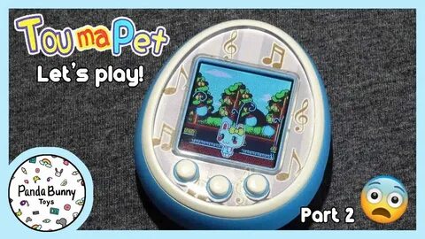 Touma pet